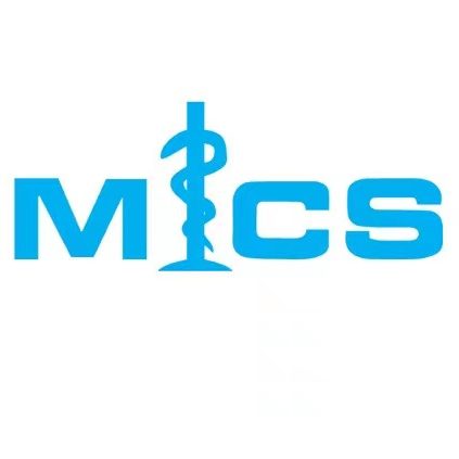 MICS学术专题活动：DeepSeek与医学图像计算会议总结